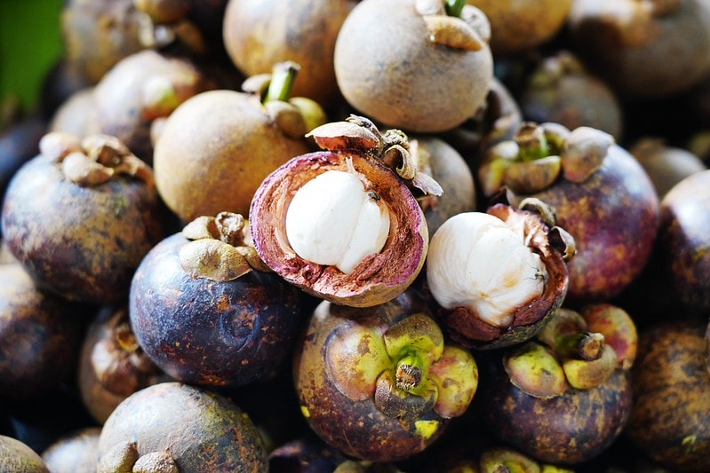 20251102-mx1cj 20251102-mx1cj