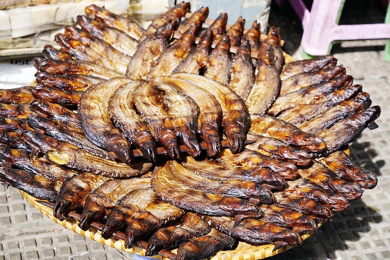 20251102-tcdjr 20251102-tcdjr