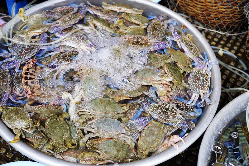 20251102-y5koc 20251102-y5koc