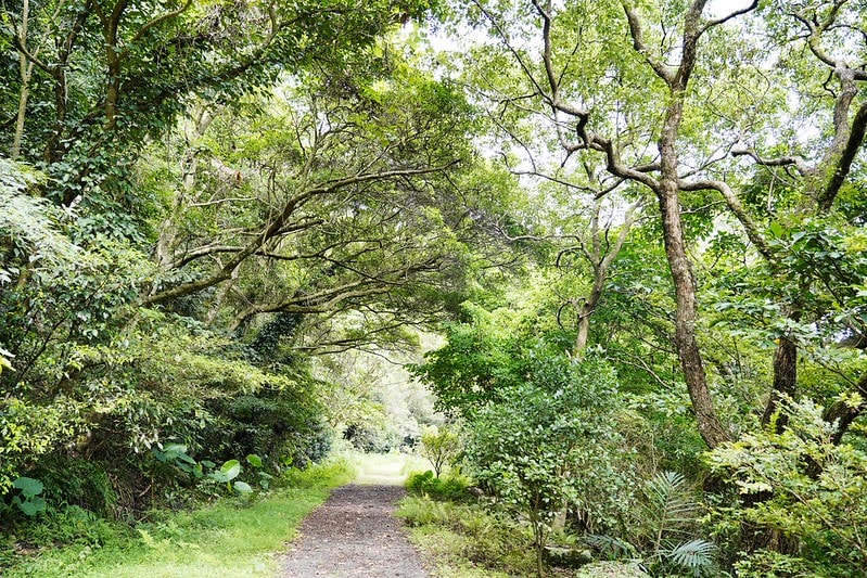 20251102-28zxg 20251102-28zxg