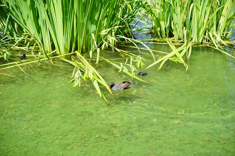 20251102-g4905 20251102-g4905