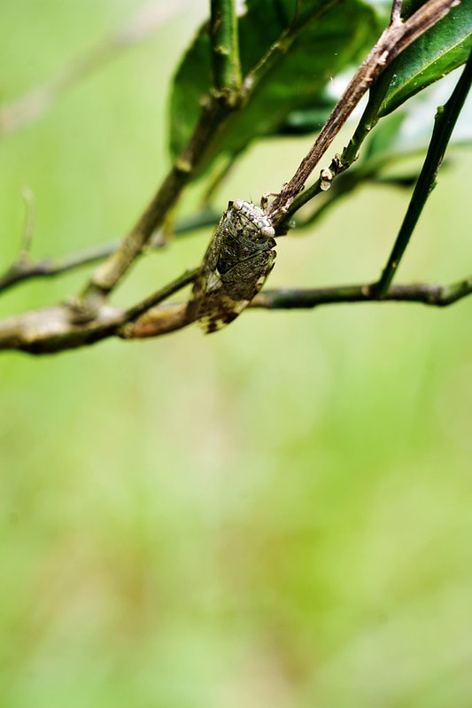 20251102-ib63o 20251102-ib63o