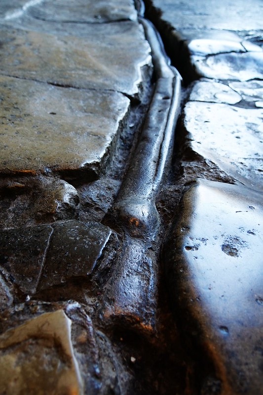 20251102-pgrpf 20251102-pgrpf