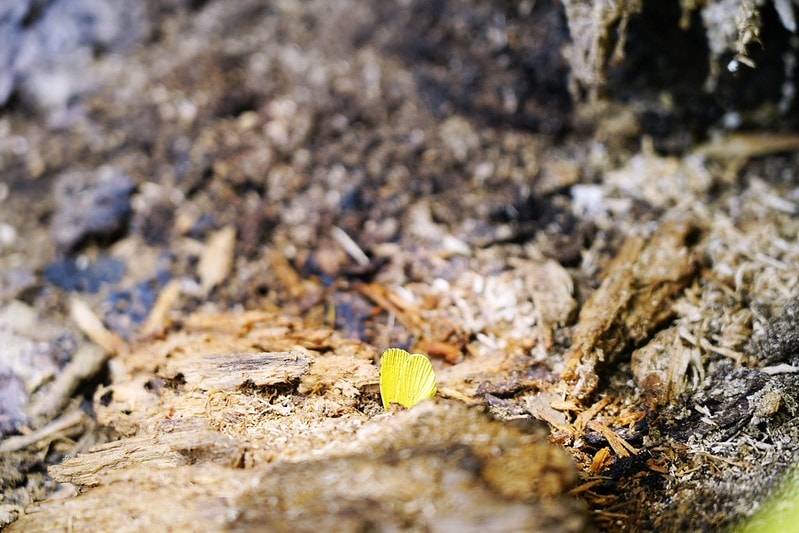 20251102-qg8q9 20251102-qg8q9