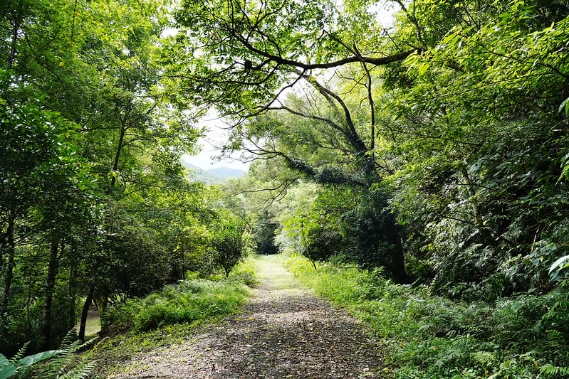 20251102-sltz0 20251102-sltz0