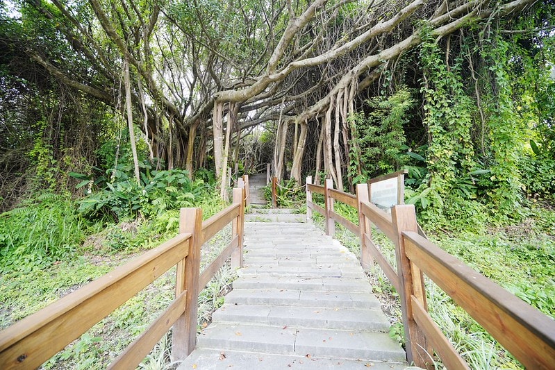 20251102-75o28 20251102-75o28