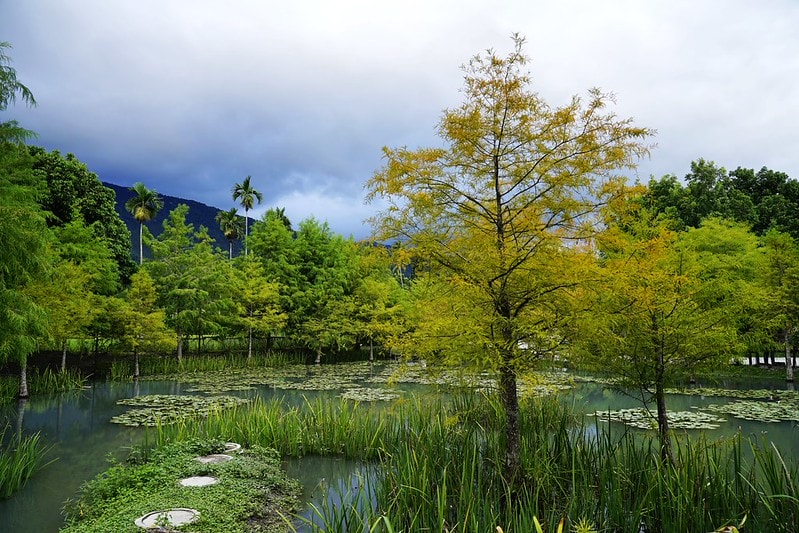 20251102-cwhc6 20251102-cwhc6