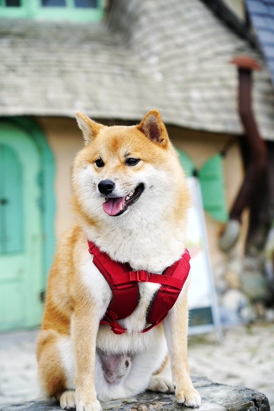 20251102-epqgh 20251102-epqgh