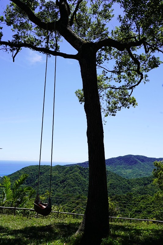 20251102-8sv5o 20251102-8sv5o