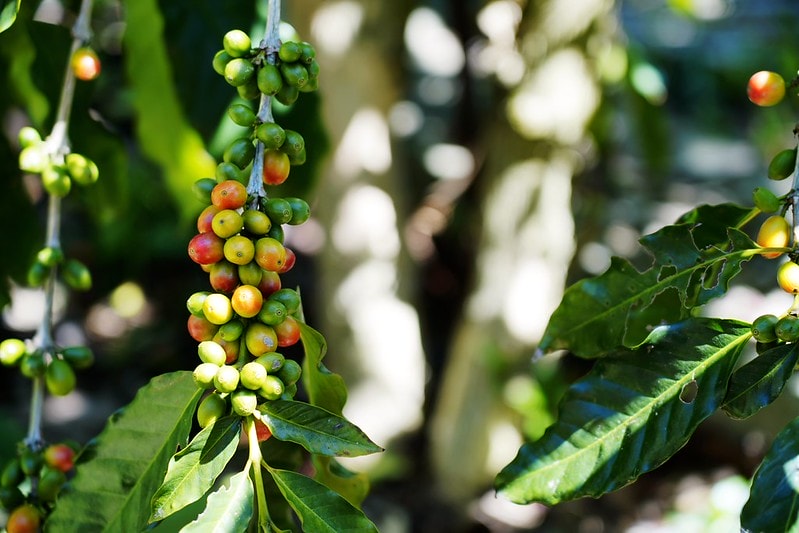 20251102-hb2hq 20251102-hb2hq