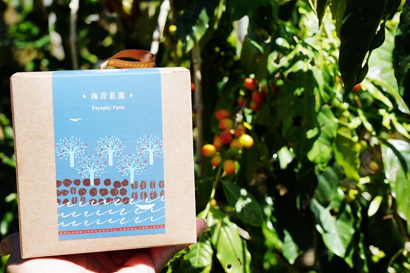 20251102-pzg55 20251102-pzg55