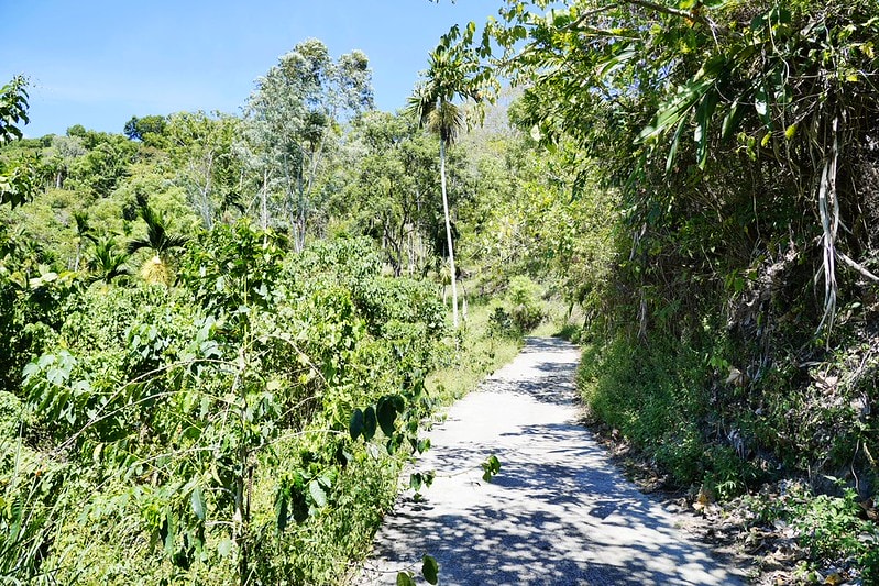 20251102-vw37e 20251102-vw37e