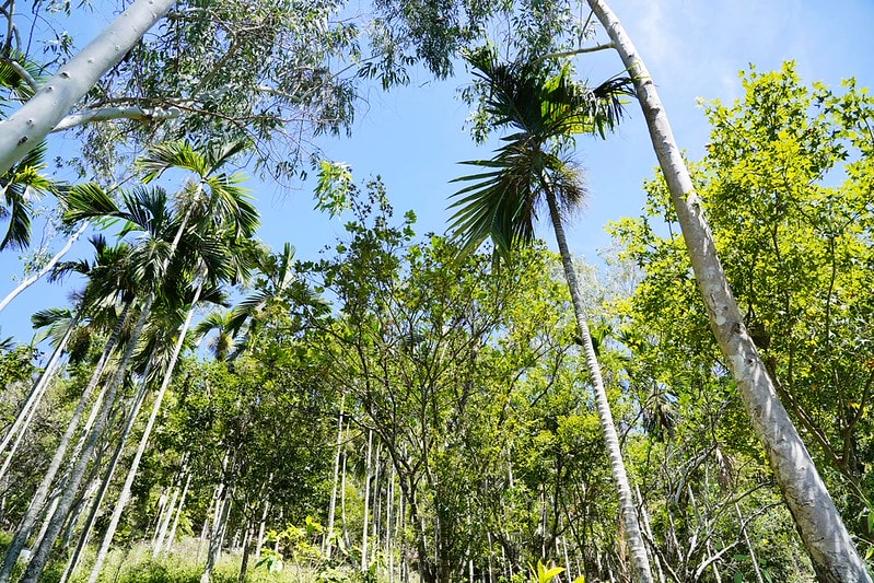 20251102-wtt6s 20251102-wtt6s