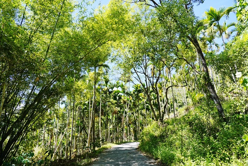 20251102-zmkoo 20251102-zmkoo