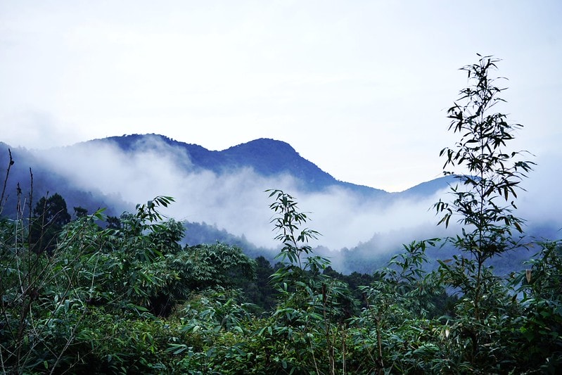 20251102-7z075 20251102-7z075