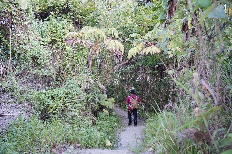 20251102-9cf4t 20251102-9cf4t