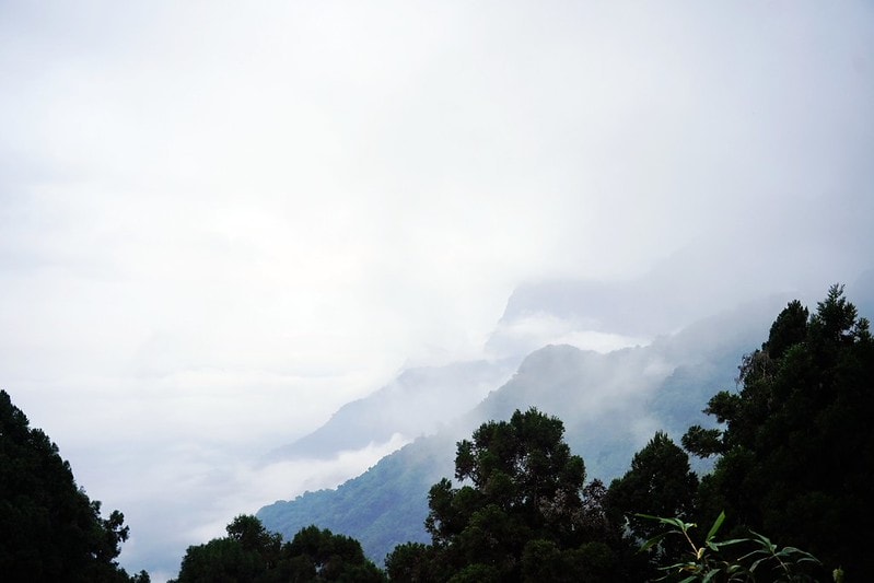 20251102-e2883 20251102-e2883