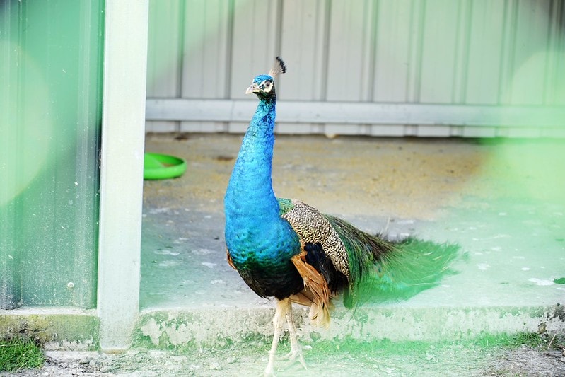 20251102-mnj6v 20251102-mnj6v