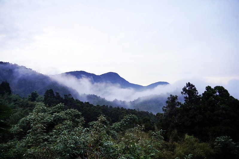 20251102-tv2w6 20251102-tv2w6