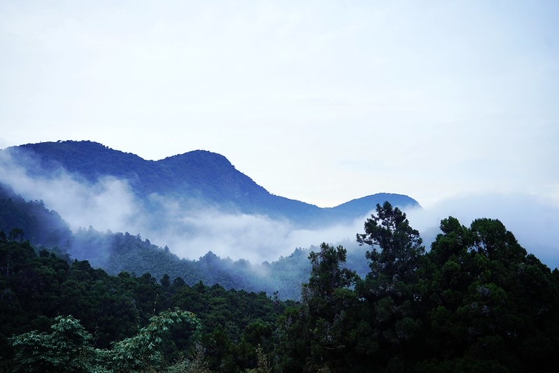 20251102-x5nzm 20251102-x5nzm