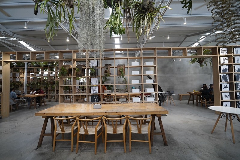 20251102-46mkd 20251102-46mkd