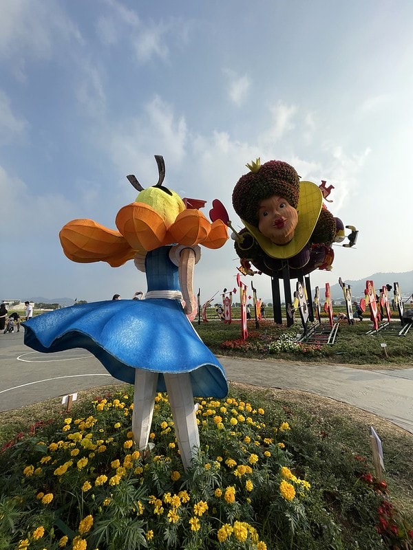 20251102-47dl3 20251102-47dl3