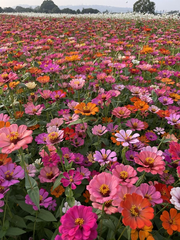 20251102-5yy0f 20251102-5yy0f