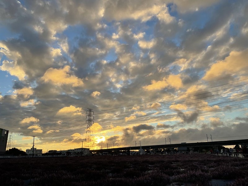 20251102-647u0 20251102-647u0