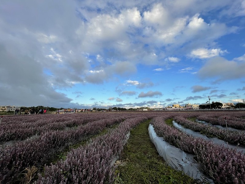 20251102-8qcuk 20251102-8qcuk