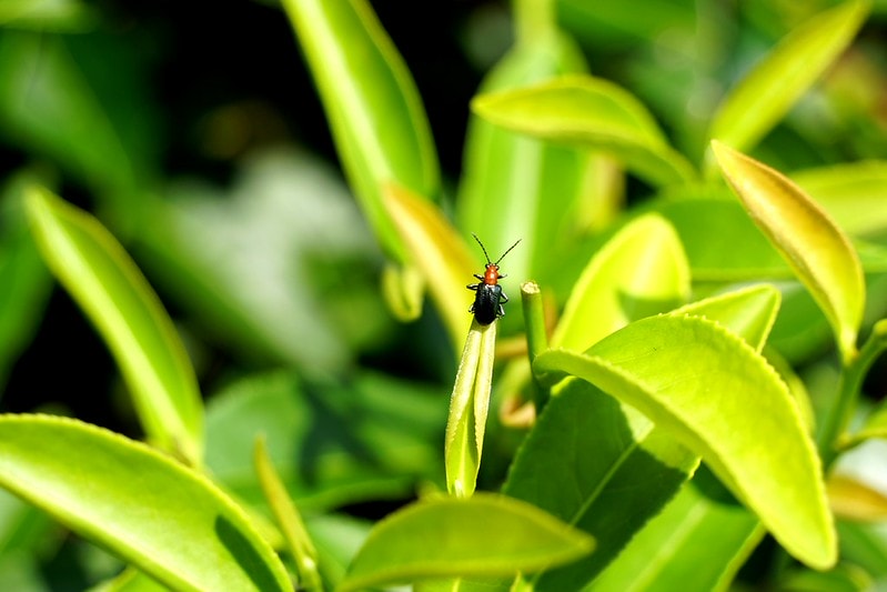 20251102-a1u0t 20251102-a1u0t