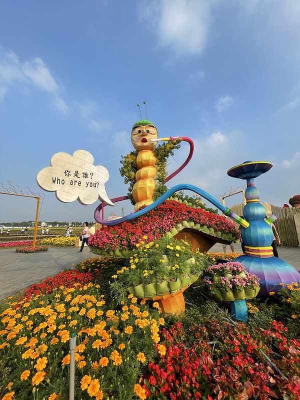 20251102-a2m1a 20251102-a2m1a