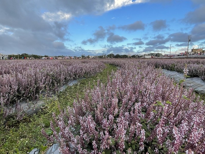 20251102-g4j71 20251102-g4j71