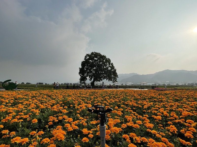 20251102-gwpae 20251102-gwpae