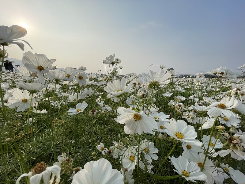 20251102-hhqyf 20251102-hhqyf