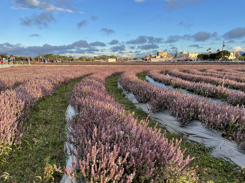 20251102-hnmth 20251102-hnmth