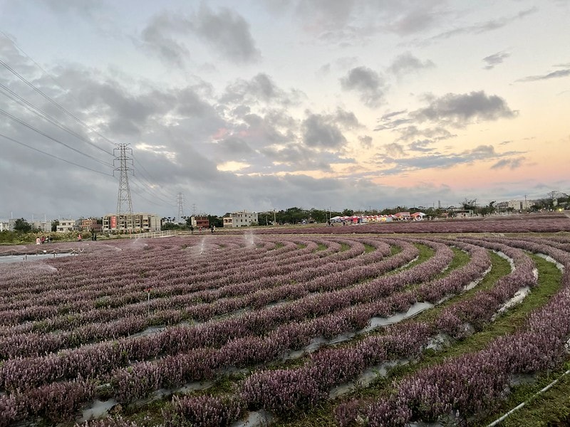 20251102-hwdwq 20251102-hwdwq