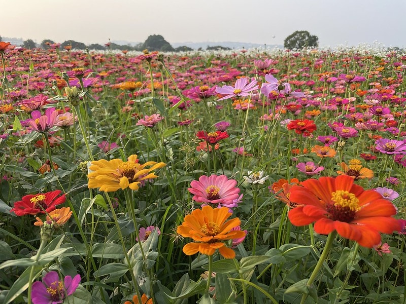 20251102-i6g0n 20251102-i6g0n