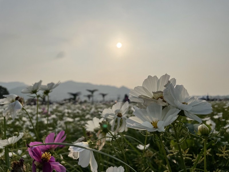 20251102-jszsf 20251102-jszsf