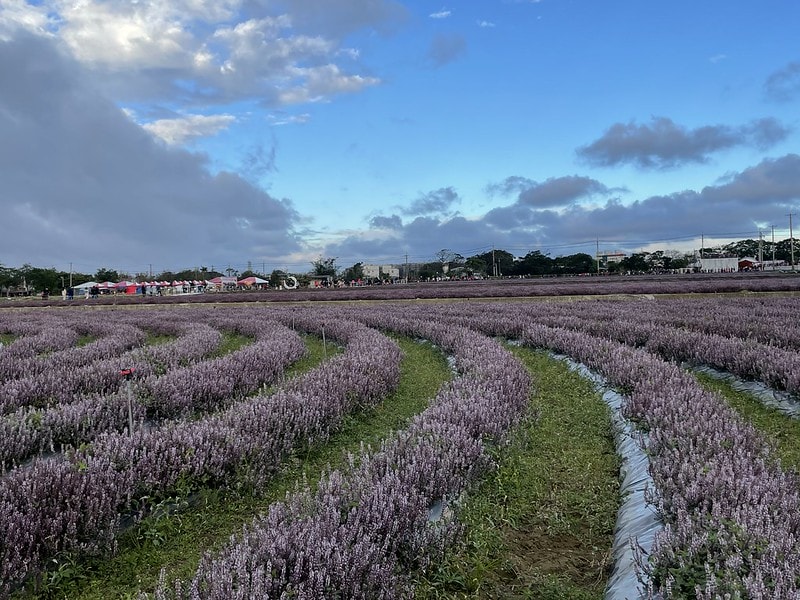 20251102-n7mr0 20251102-n7mr0