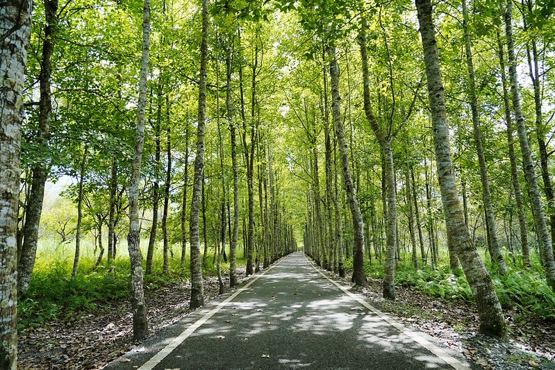 20251102-ogbrz 20251102-ogbrz