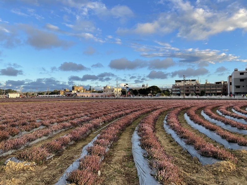 20251102-p9bup 20251102-p9bup