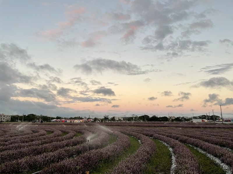 20251102-pyidn 20251102-pyidn