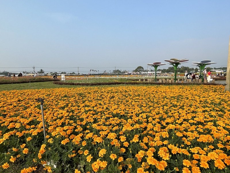 20251102-q97i4 20251102-q97i4