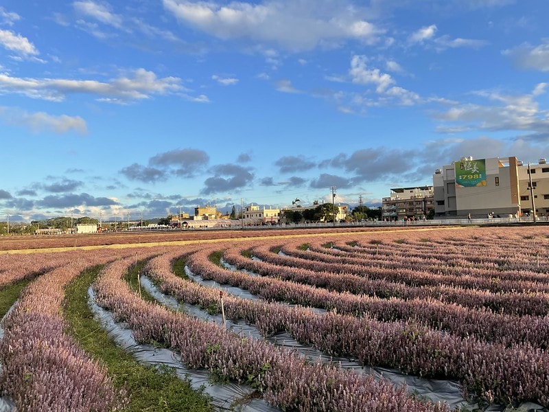 20251102-qhgb7 20251102-qhgb7