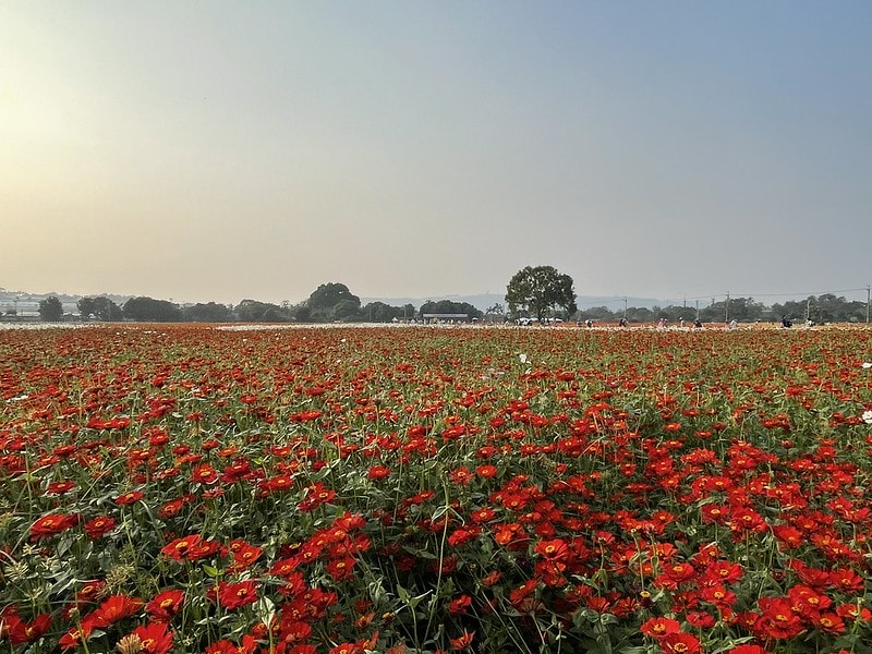 20251102-s4io4 20251102-s4io4