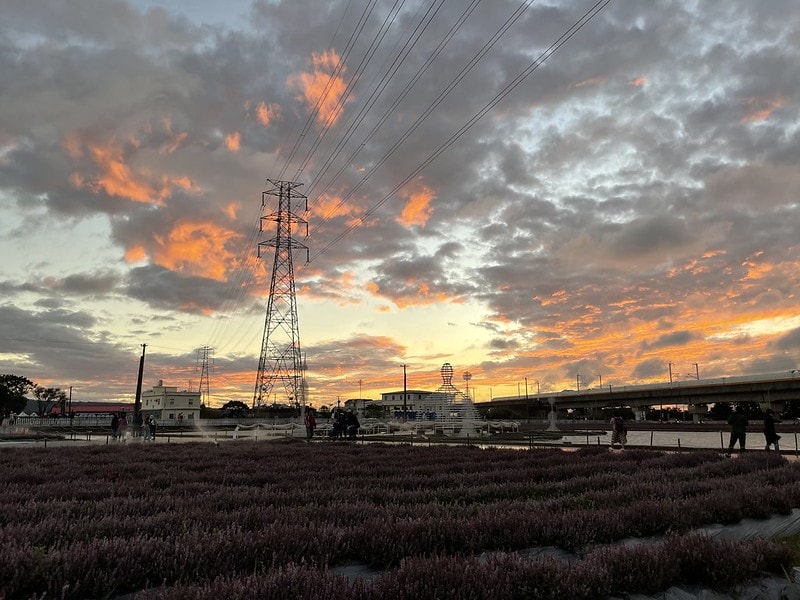 20251102-sn86r 20251102-sn86r