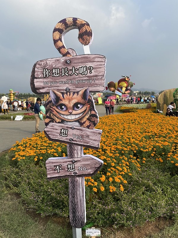 20251102-t6dqf 20251102-t6dqf