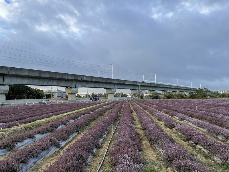 20251102-vxxtp 20251102-vxxtp