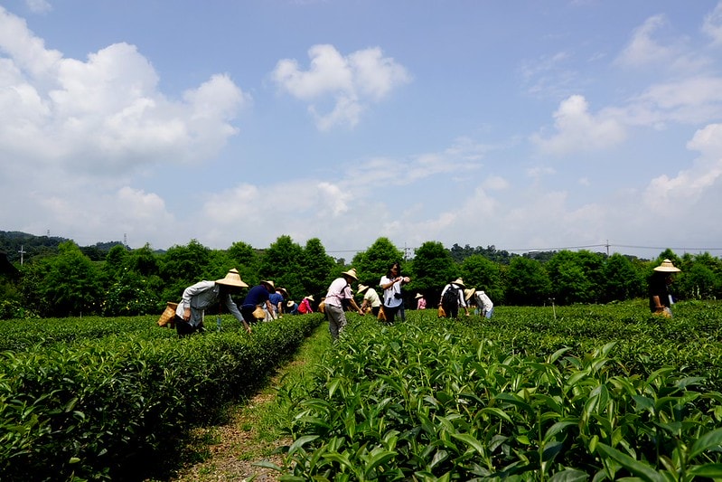 20251102-wmfsa 20251102-wmfsa