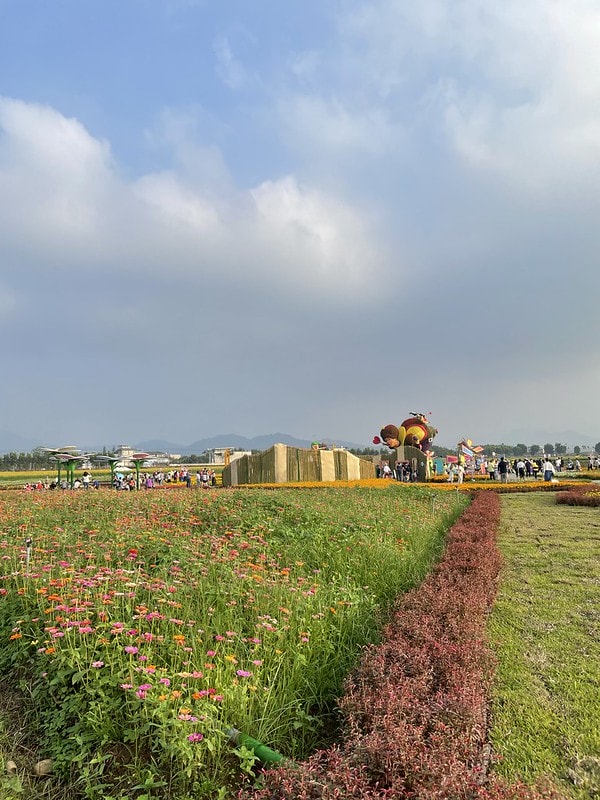 20251102-wmwyb 20251102-wmwyb